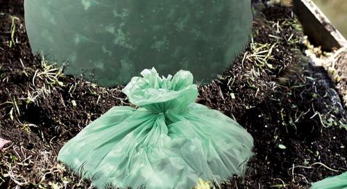 Najnowsze wiadomości o Czy plastikowe torebki biodegradowalne?